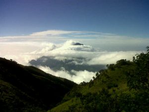 IMG01447-20130117-0746
